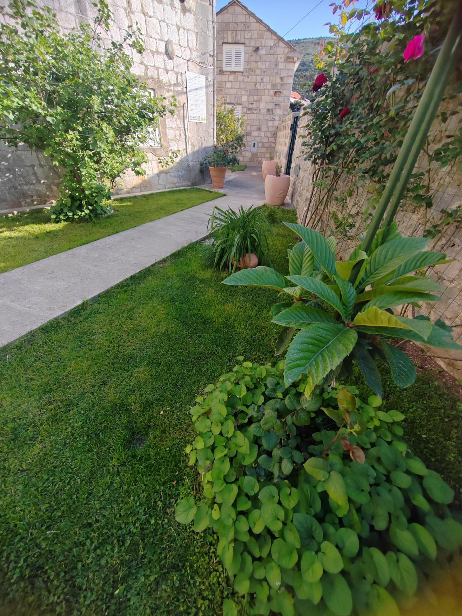 KomolacDubrovnik House - Leni公寓 外观 照片